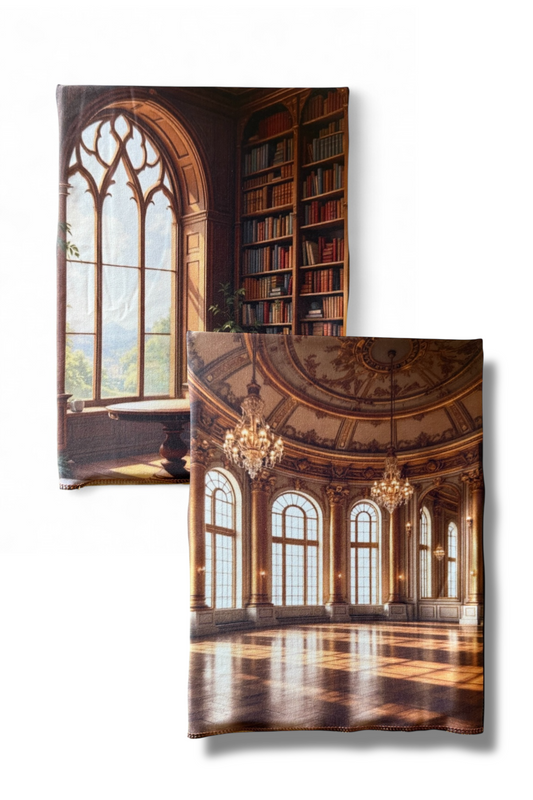 Library and Ballroom Double Sided Scene Sleeve